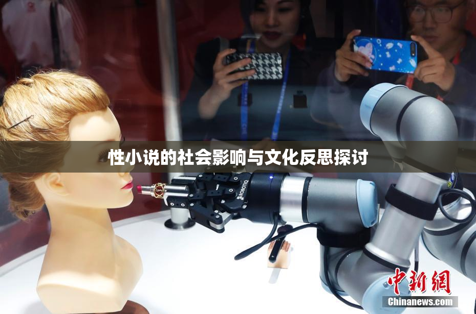 性小说的社会影响与文化反思探讨
