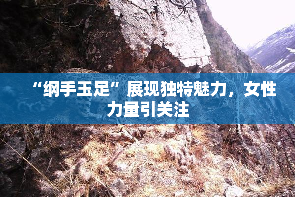 “纲手玉足”展现独特魅力，女性力量引关注