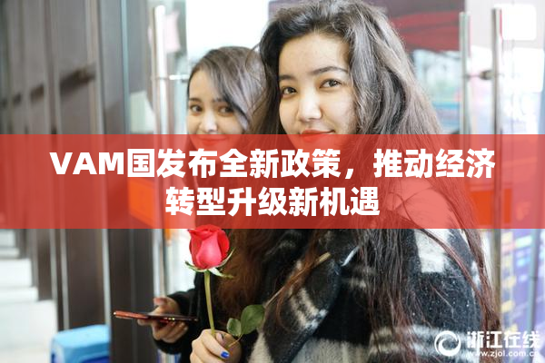 VAM国发布全新政策，推动经济转型升级新机遇