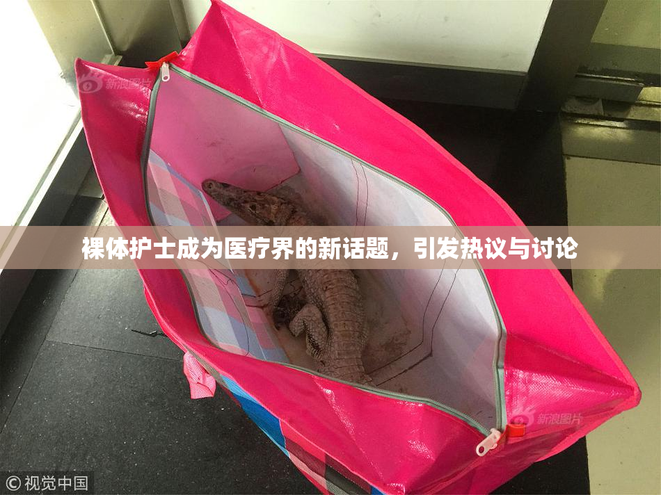 裸体护士成为医疗界的新话题，引发热议与讨论