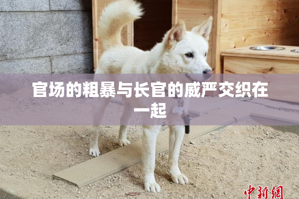 官场的粗暴与长官的威严交织在一起