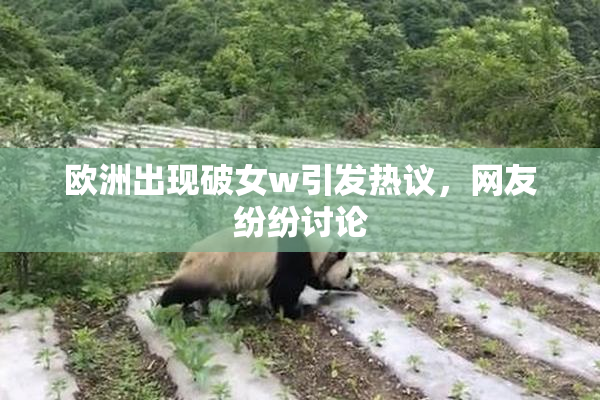 欧洲出现破女w引发热议，网友纷纷讨论