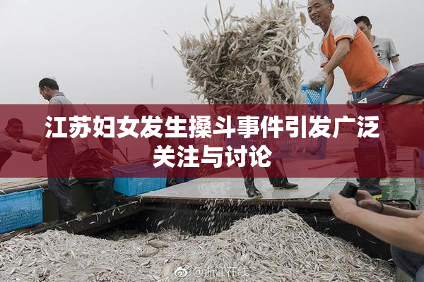 江苏妇女发生搡斗事件引发广泛关注与讨论