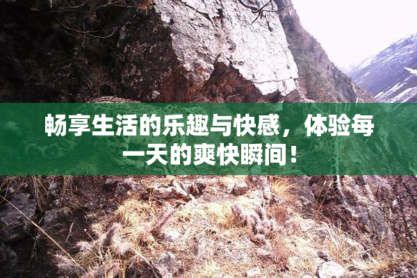 畅享生活的乐趣与快感，体验每一天的爽快瞬间！