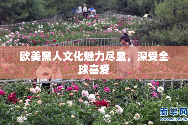 欧美黑人文化魅力尽显，深受全球喜爱