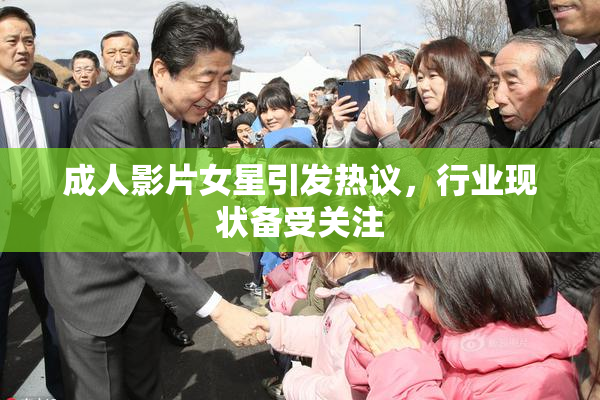 成人影片女星引发热议，行业现状备受关注
