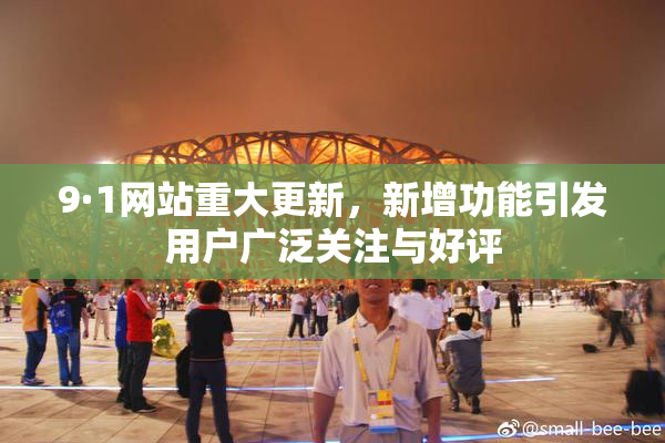 9·1网站重大更新，新增功能引发用户广泛关注与好评