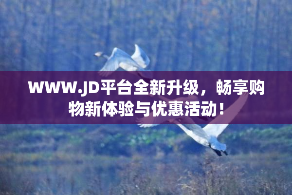 WWW.JD平台全新升级，畅享购物新体验与优惠活动！