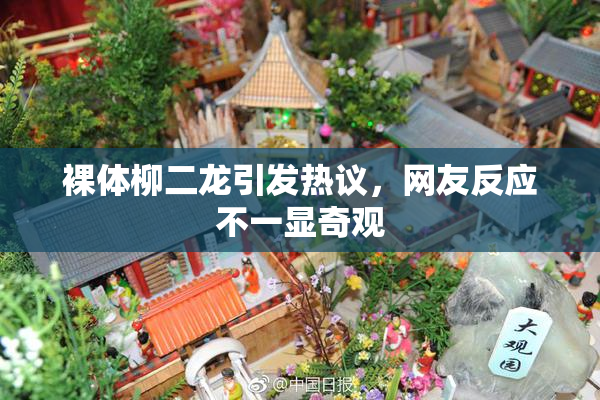 裸体柳二龙引发热议，网友反应不一显奇观