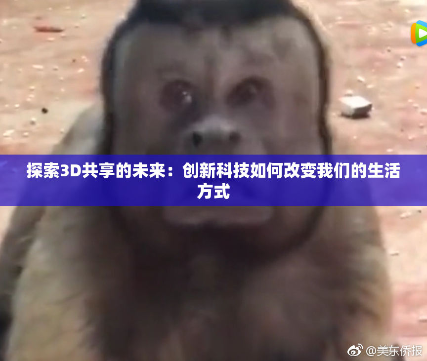 探索3D共享的未来：创新科技如何改变我们的生活方式