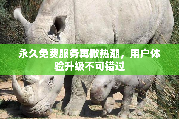 永久免费服务再掀热潮，用户体验升级不可错过
