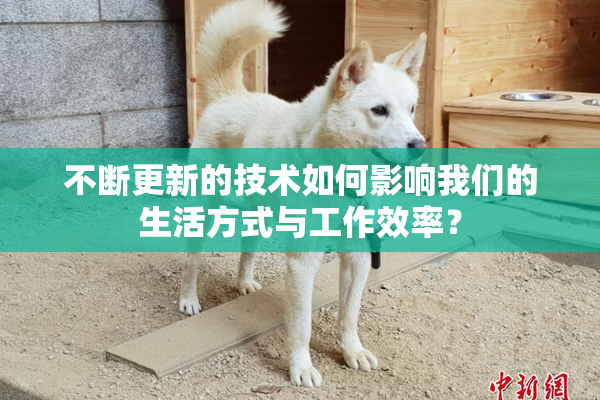 不断更新的技术如何影响我们的生活方式与工作效率？