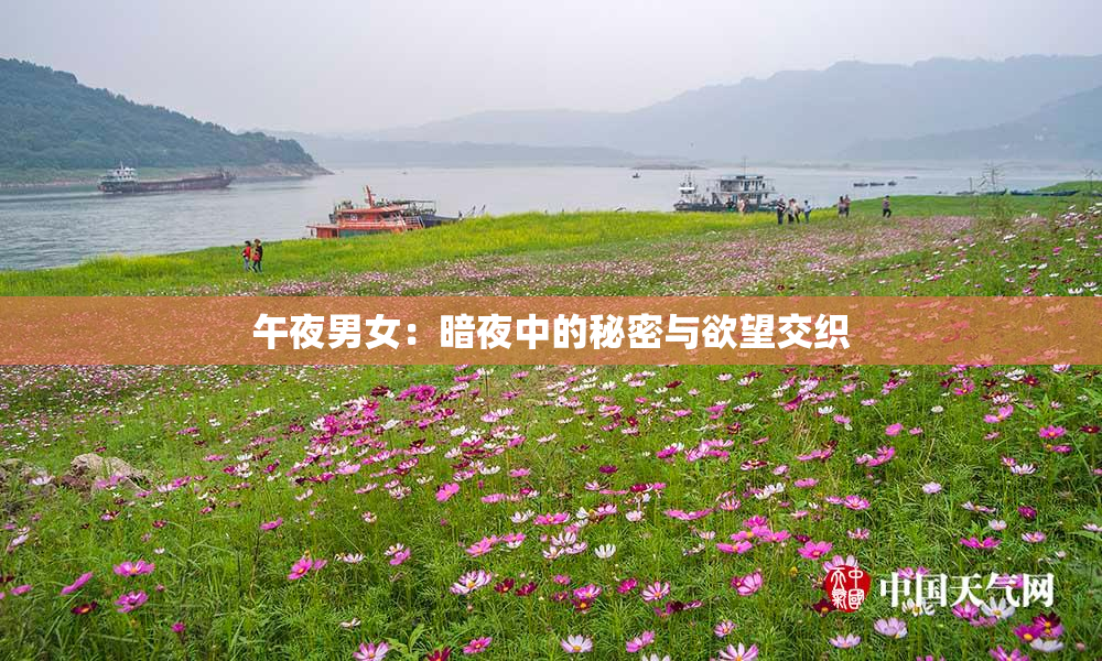 午夜男女：暗夜中的秘密与欲望交织