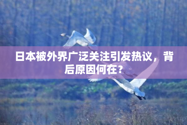 日本被外界广泛关注引发热议，背后原因何在？