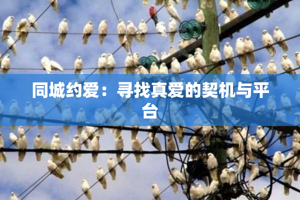 同城约爱：寻找真爱的契机与平台