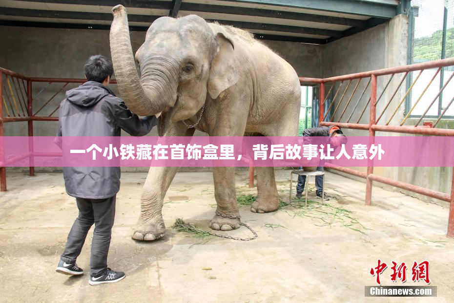 一个小铁藏在首饰盒里，背后故事让人意外
