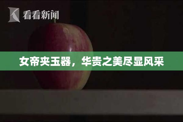 女帝夹玉器，华贵之美尽显风采