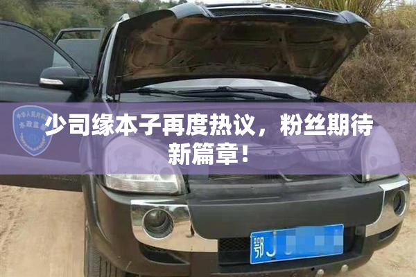 少司缘本子再度热议，粉丝期待新篇章！