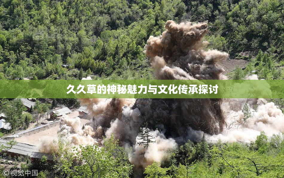 久久草的神秘魅力与文化传承探讨