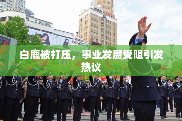 白鹿被打压，事业发展受阻引发热议