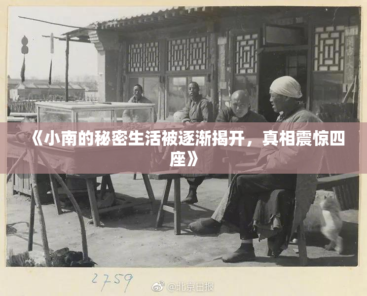 《小南的秘密生活被逐渐揭开，真相震惊四座》