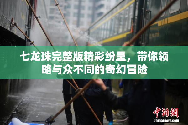 七龙珠完整版精彩纷呈，带你领略与众不同的奇幻冒险