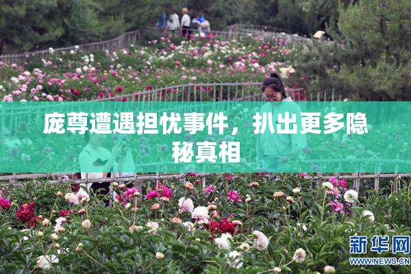 庞尊遭遇担忧事件，扒出更多隐秘真相
