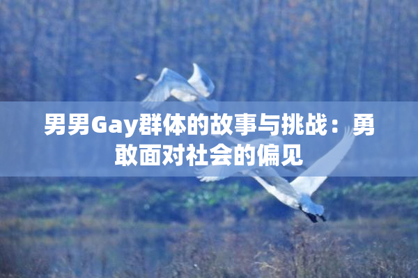 男男Gay群体的故事与挑战：勇敢面对社会的偏见