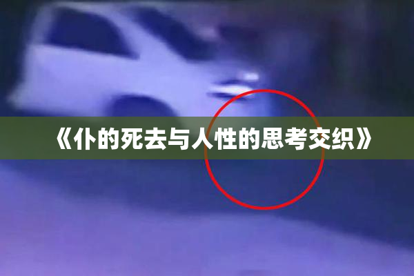 《仆的死去与人性的思考交织》