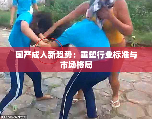 国产成人新趋势：重塑行业标准与市场格局