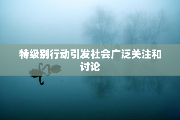 特级别行动引发社会广泛关注和讨论