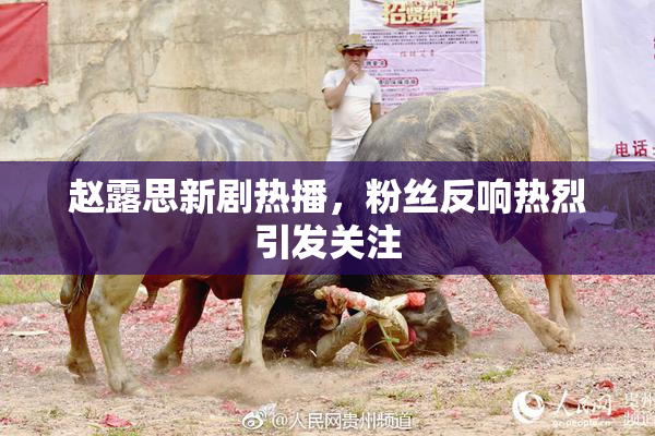 赵露思新剧热播，粉丝反响热烈引发关注