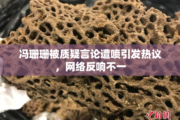 冯珊珊被质疑言论遭喷引发热议，网络反响不一