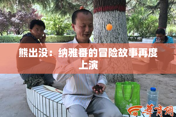 熊出没：纳雅番的冒险故事再度上演