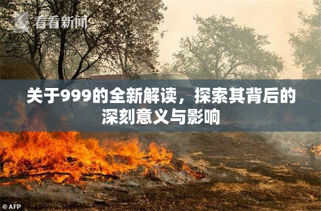 关于999的全新解读，探索其背后的深刻意义与影响