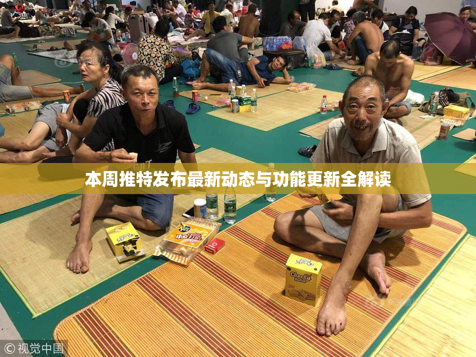 本周推特发布最新动态与功能更新全解读