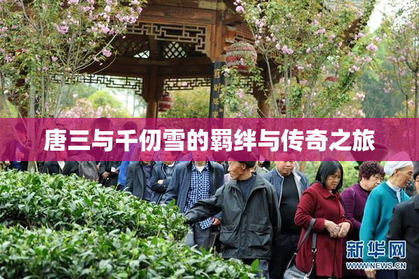 唐三与千仞雪的羁绊与传奇之旅