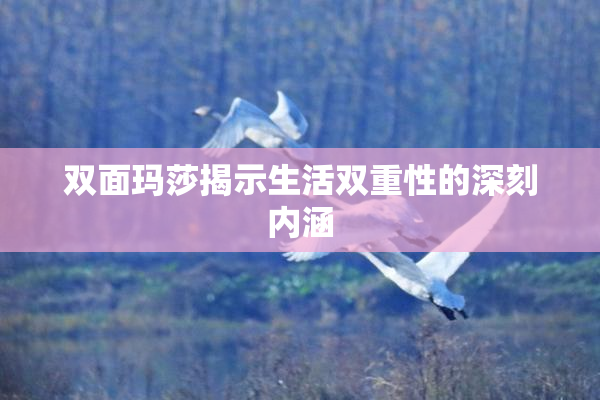 双面玛莎揭示生活双重性的深刻内涵