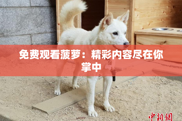 免费观看菠萝：精彩内容尽在你掌中