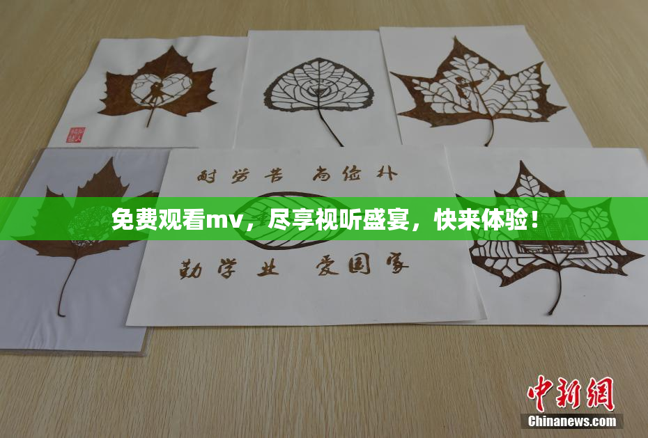 免费观看mv，尽享视听盛宴，快来体验！
