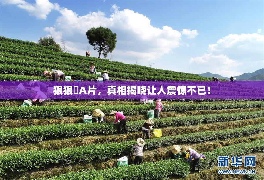 狠狠穞A片，真相揭晓让人震惊不已！
