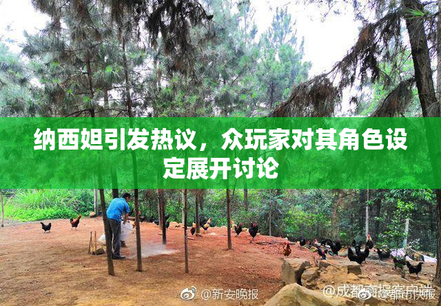 纳西妲引发热议，众玩家对其角色设定展开讨论
