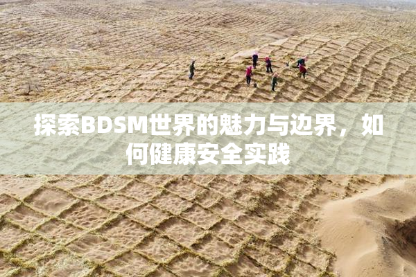 探索BDSM世界的魅力与边界，如何健康安全实践