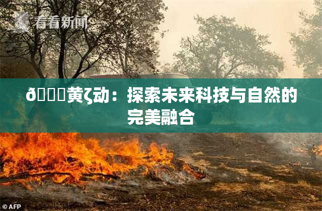 🔞黄ζ动：探索未来科技与自然的完美融合
