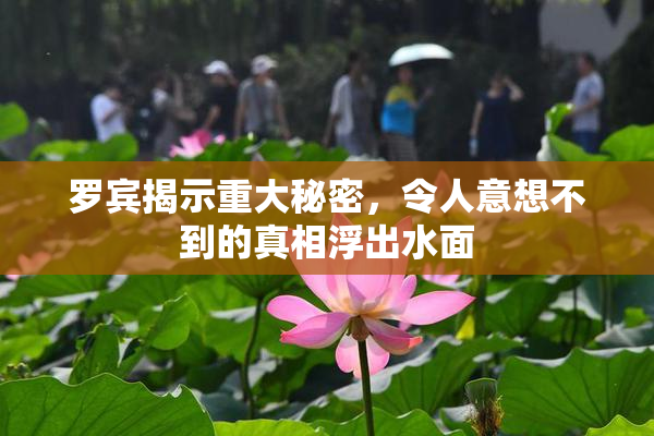 罗宾揭示重大秘密，令人意想不到的真相浮出水面