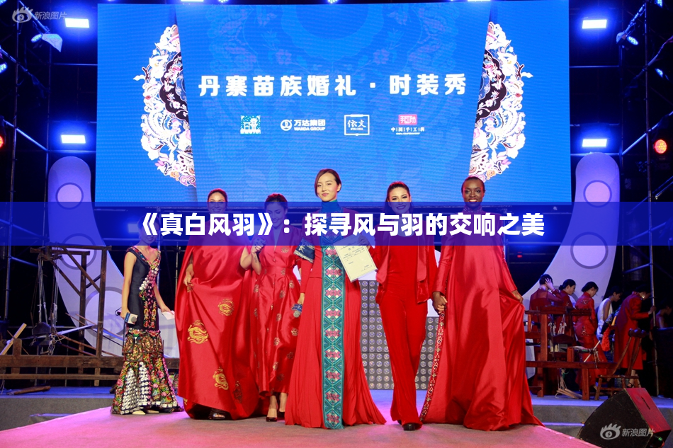 《真白风羽》：探寻风与羽的交响之美