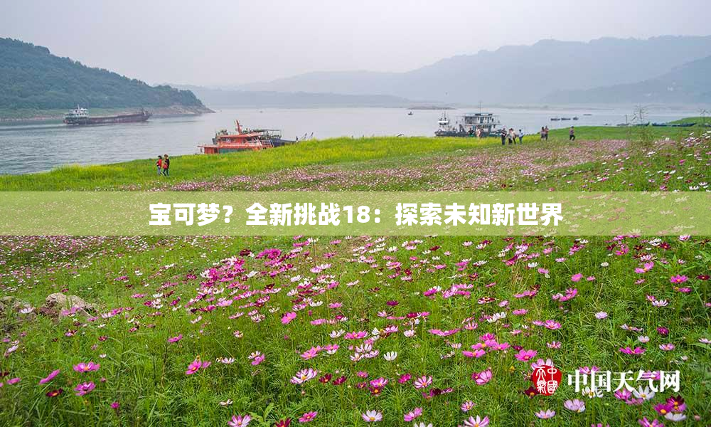 宝可梦？全新挑战18：探索未知新世界