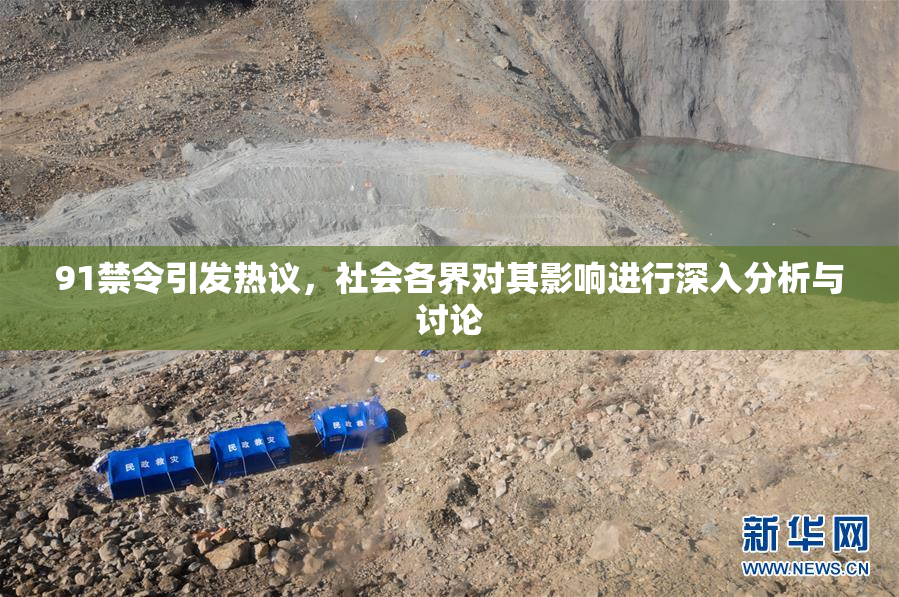 91禁令引发热议，社会各界对其影响进行深入分析与讨论