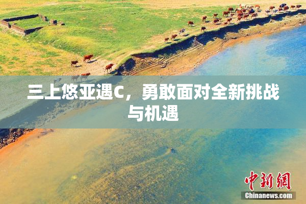 三上悠亚遇C，勇敢面对全新挑战与机遇