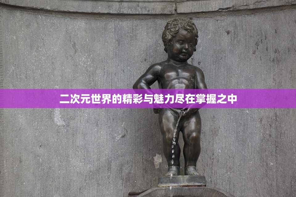 二次元世界的精彩与魅力尽在掌握之中
